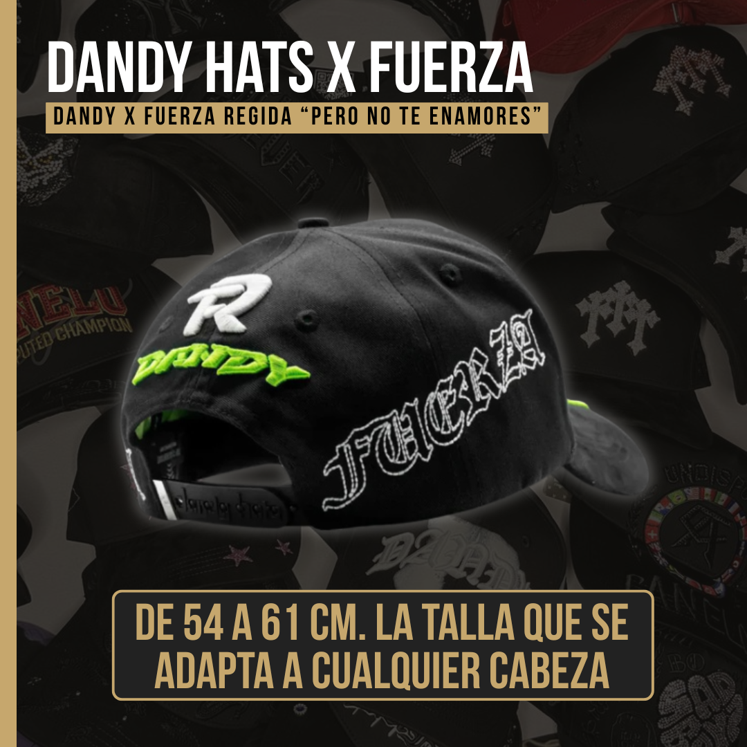 Dandy x Fuerza Regida "Pero No Te Enamores"